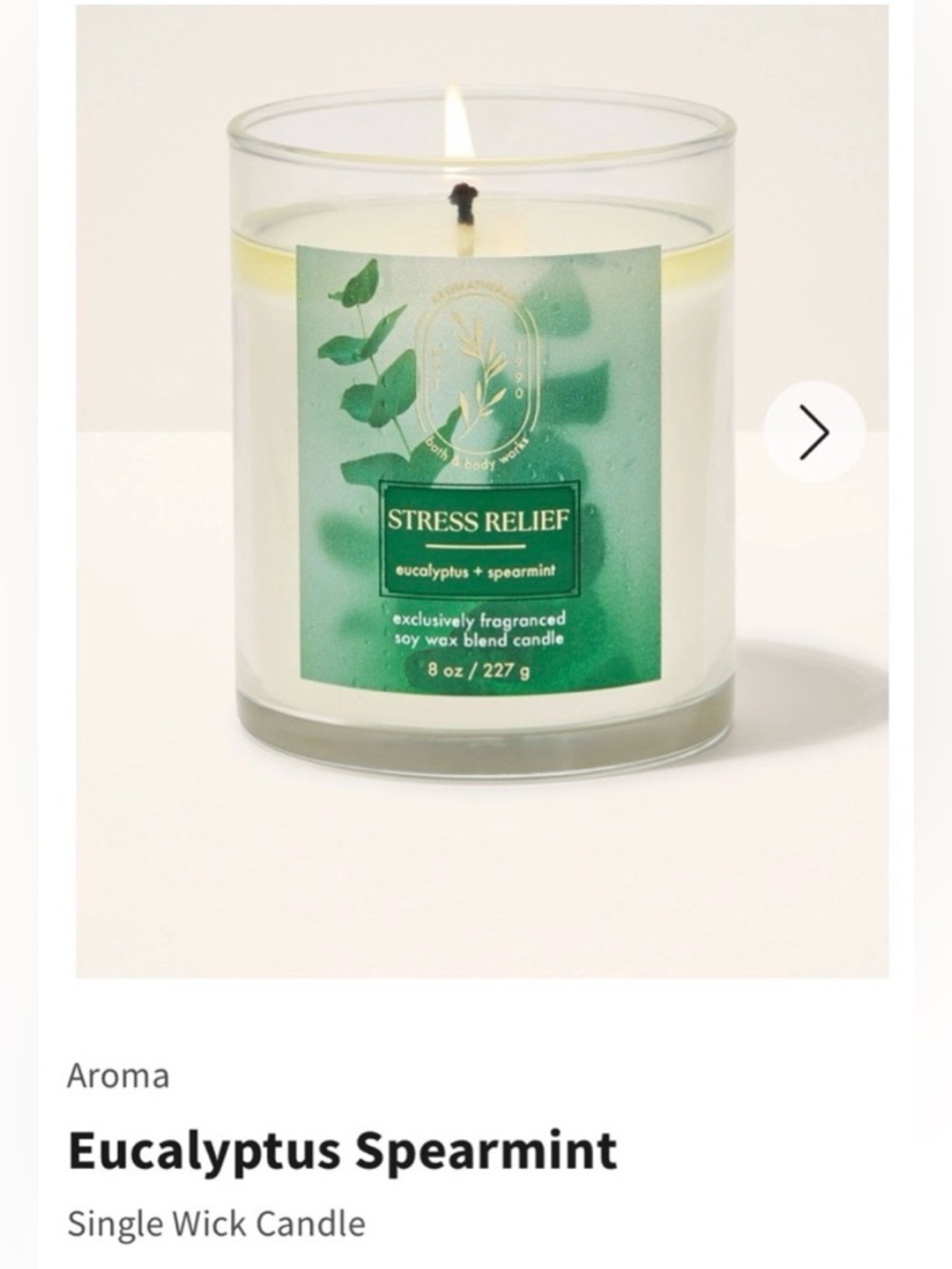 NIB B&BW Stress Relief Eucalyptus Spearmint Single Wick Candle w Metal Lid.